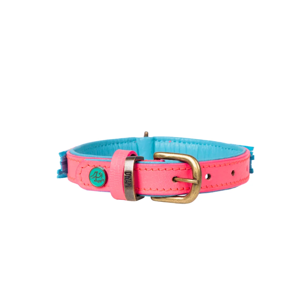 DWAM - Indian Summer Hondenhalsband S (Halsomvang 30-33 cm / 2 cm) - Afbeelding 6