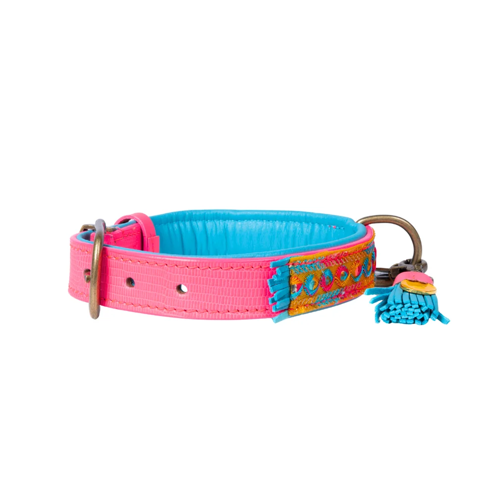 DWAM - Indian Summer Hondenhalsband S (Halsomvang 30-33 cm / 2 cm) - Afbeelding 5