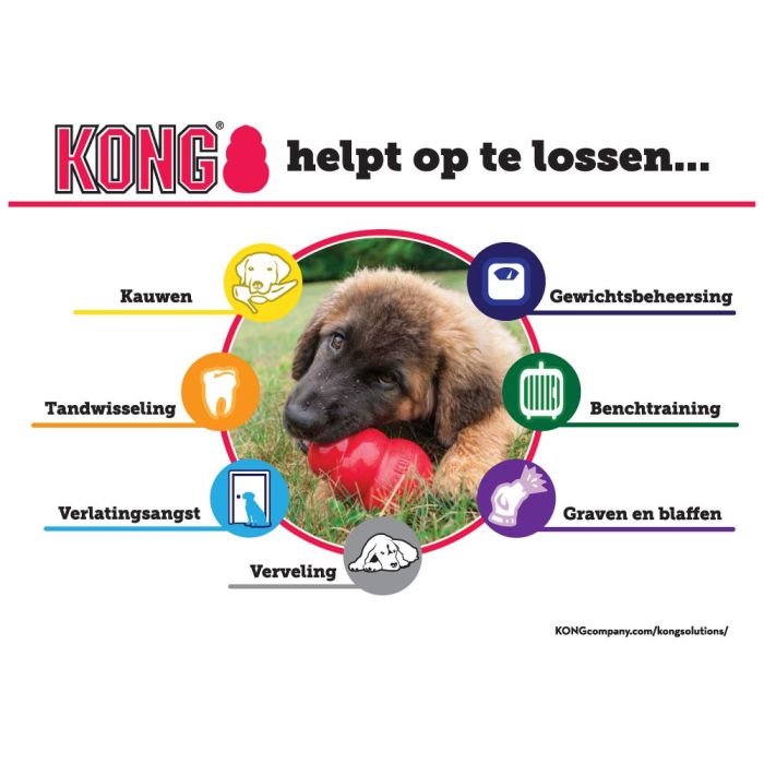 KONG Puppy maat M - roze - Afbeelding 4