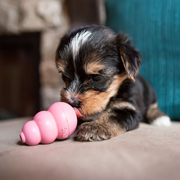 KONG Puppy maat M - roze - Afbeelding 3