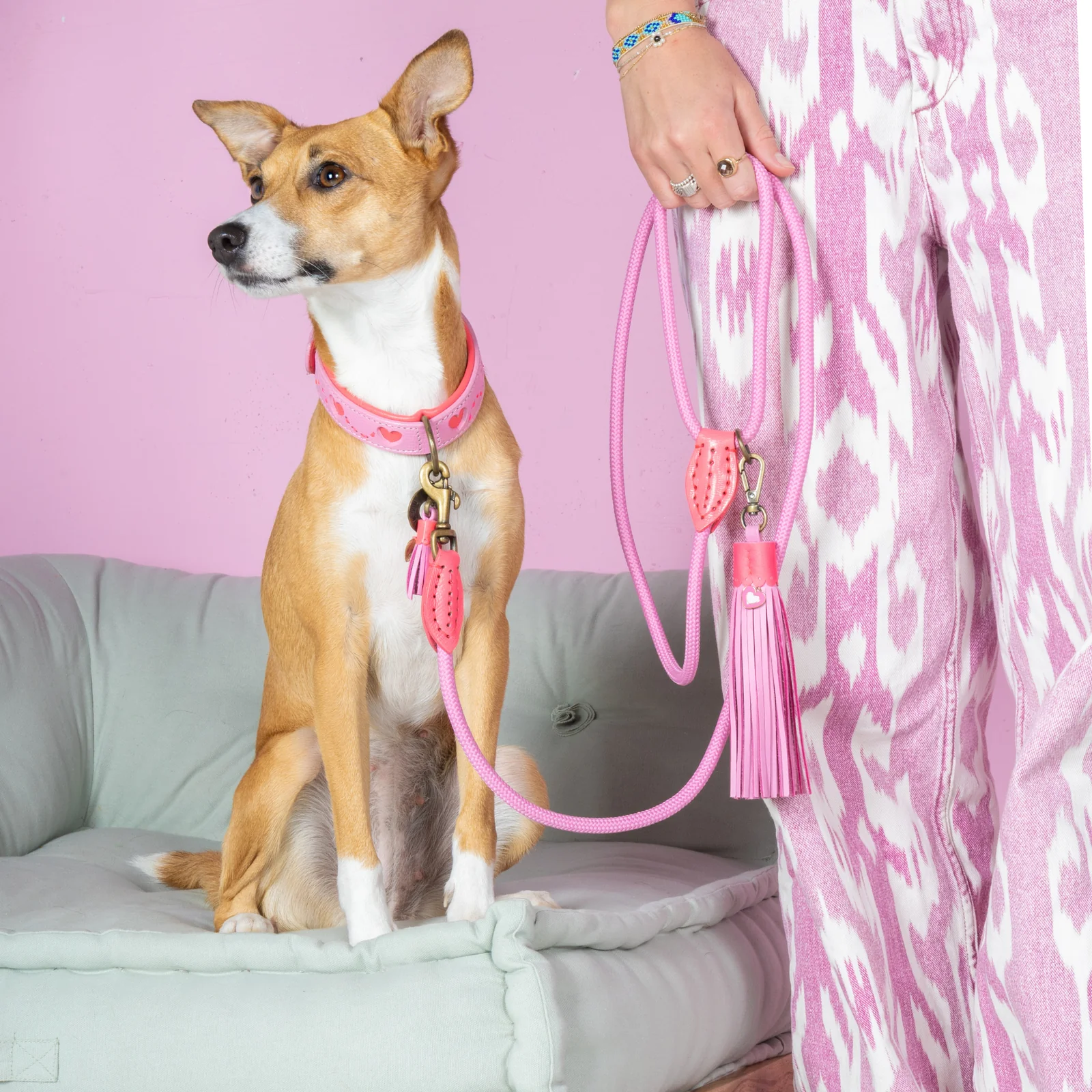 DWAM - Classic Sweety Hondenriem S (155 cm X 1 cm)