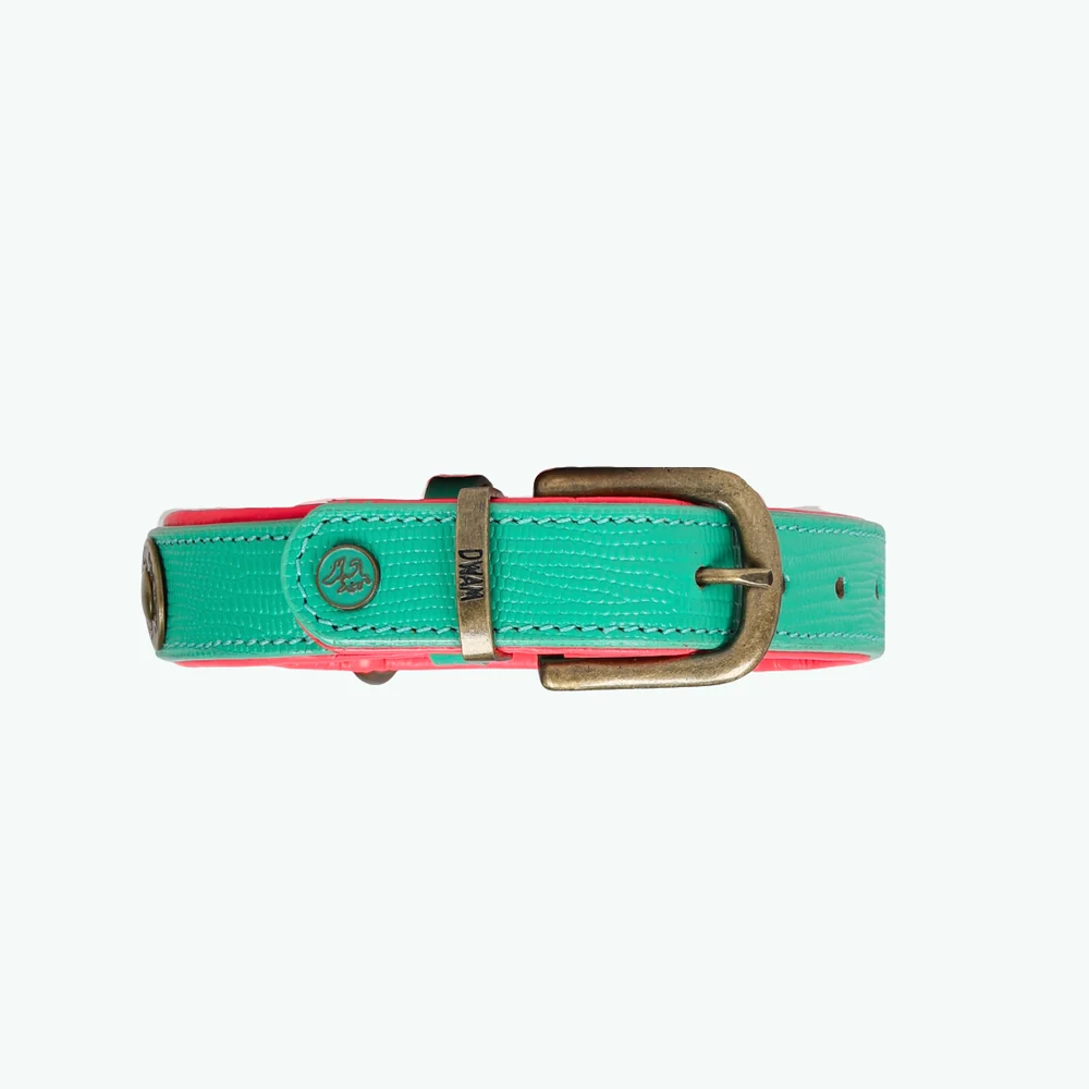 DWAM -Maui Hondenhalsband S (Halsomvang 30-33 cm / 2,5 cm) - Afbeelding 3
