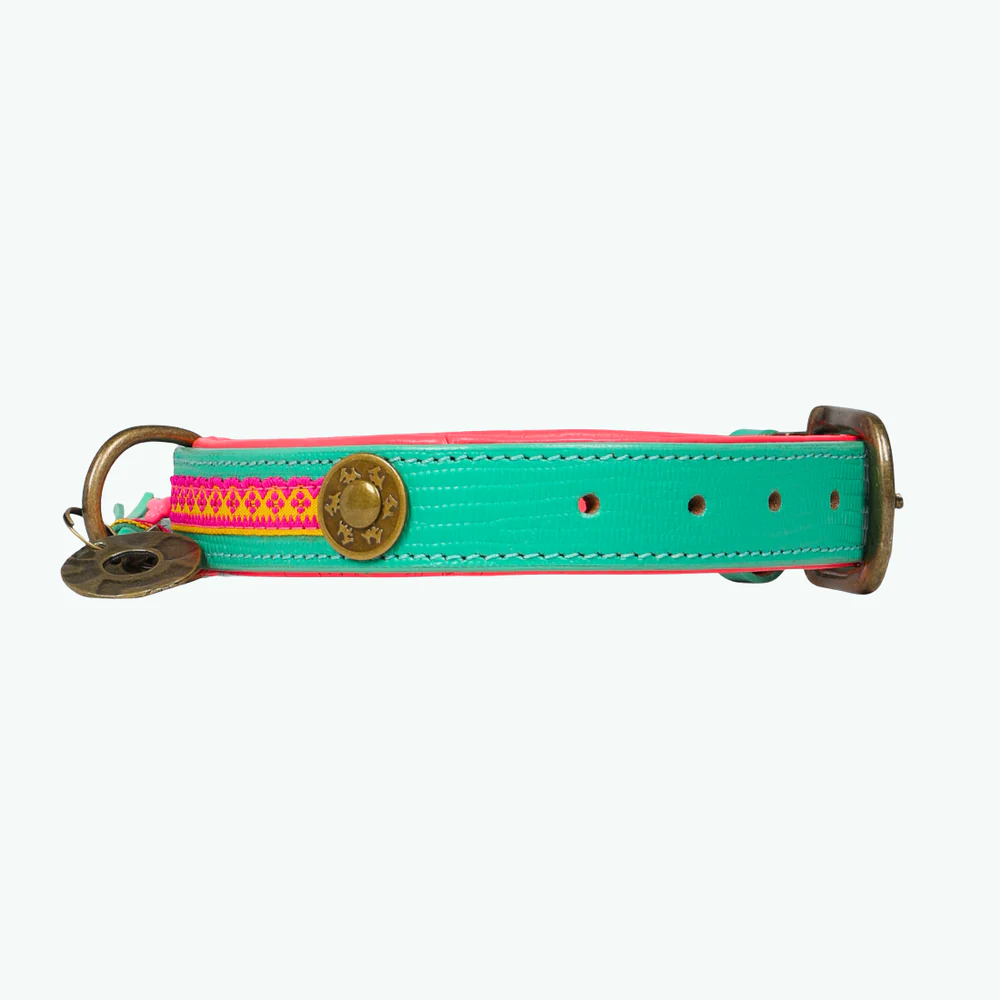 DWAM -Maui Hondenhalsband S (Halsomvang 30-33 cm / 2,5 cm) - Afbeelding 4