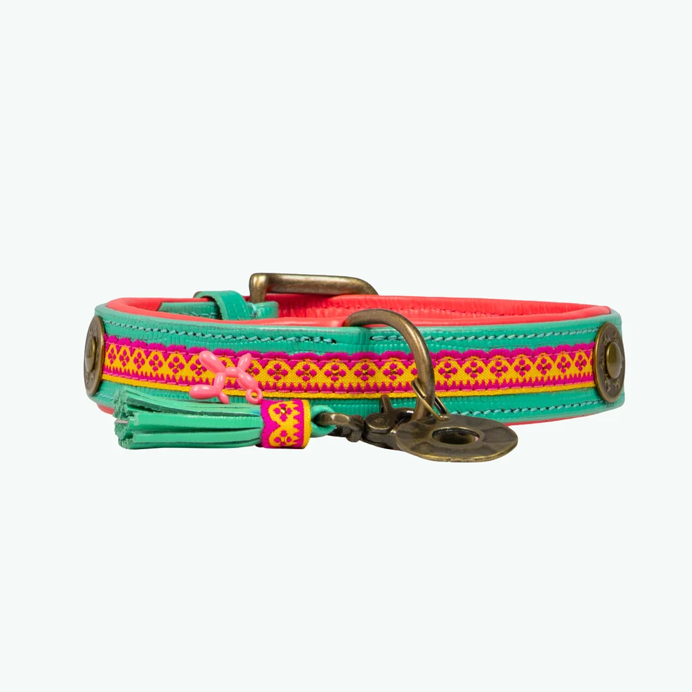 DWAM -Maui Hondenhalsband S (Halsomvang 30-33 cm / 2,5 cm) - Afbeelding 5