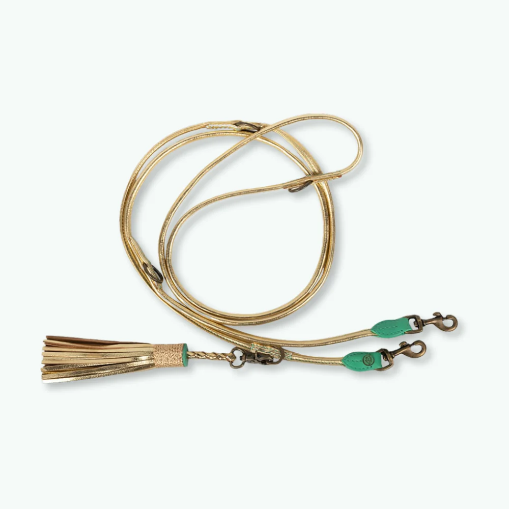 DWAM - Extra Long Golden Moon Hondenriem L (2,20 cm X 1 cm)