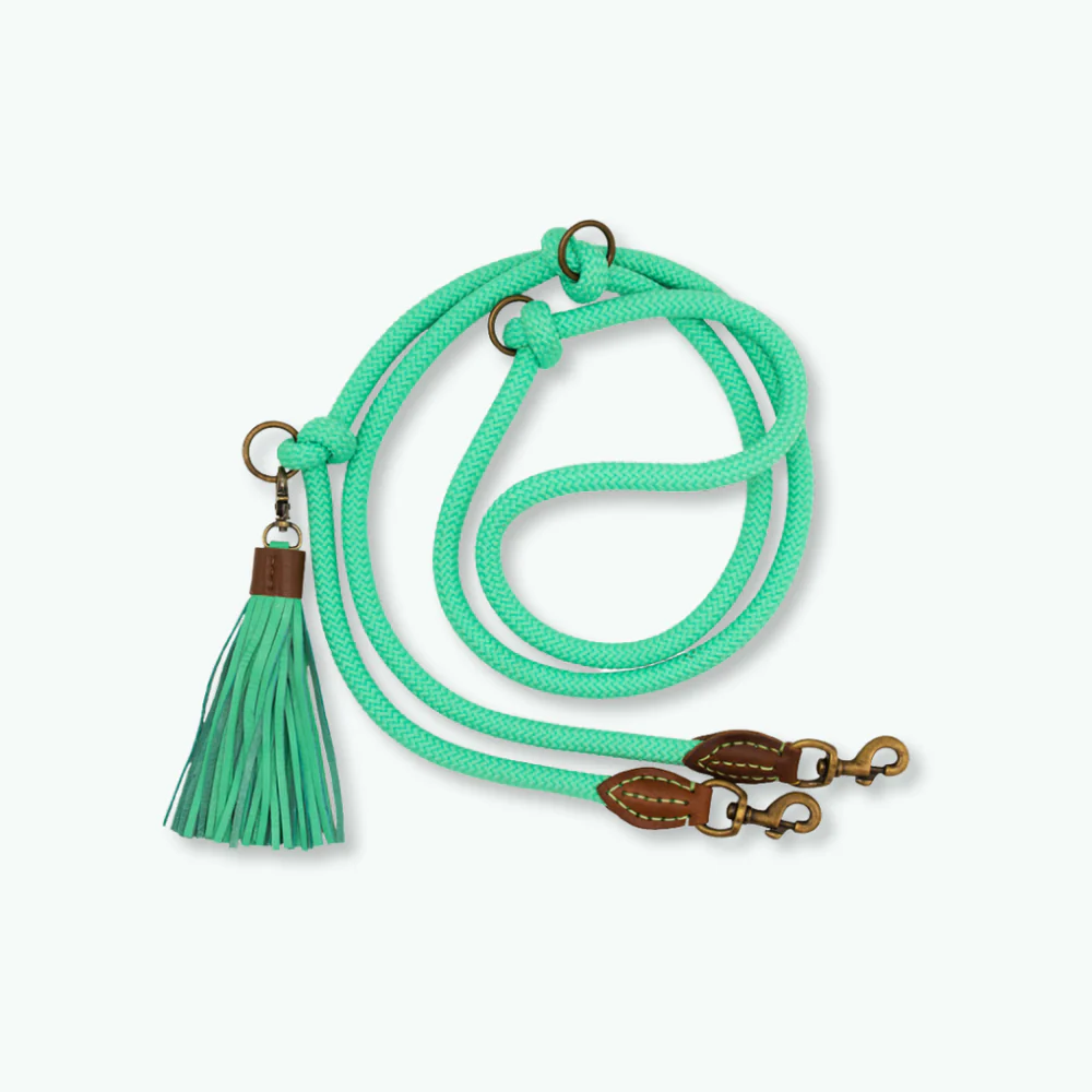 DWAM - Extra Long Jade Hondenriem L (2,20 cm X 1 cm)